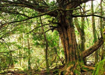 Foto: Turismo de Galicia
