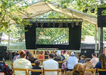 The Wild Cinema regresa a Vigo // PAULA CERMEÑO