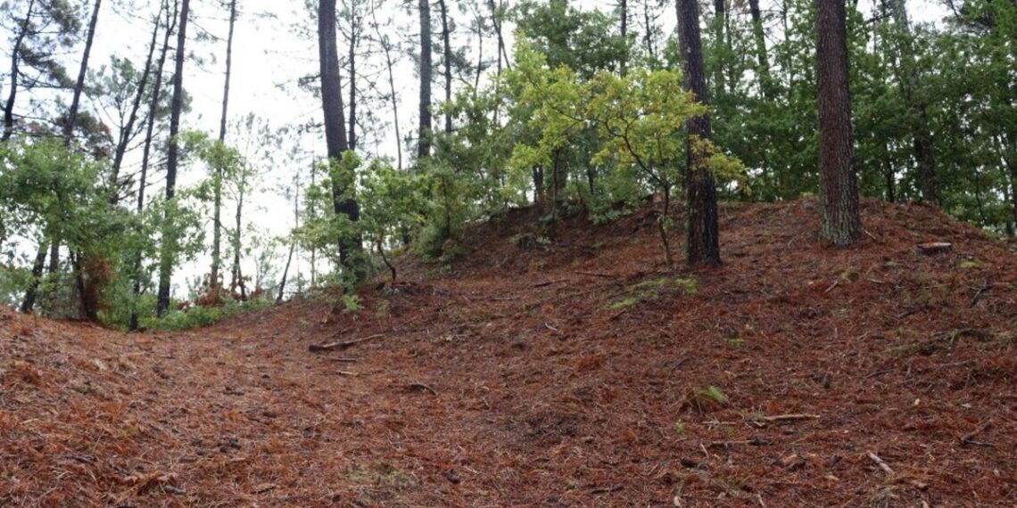 Excavación arqueológica en la fortaleza de As Torres en Tomiño (Pontevedra)
- FORTALEZAS DA FRONTEIRA