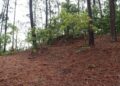 Excavación arqueológica en la fortaleza de As Torres en Tomiño (Pontevedra)
- FORTALEZAS DA FRONTEIRA