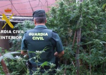 Foto: Guardia Civil