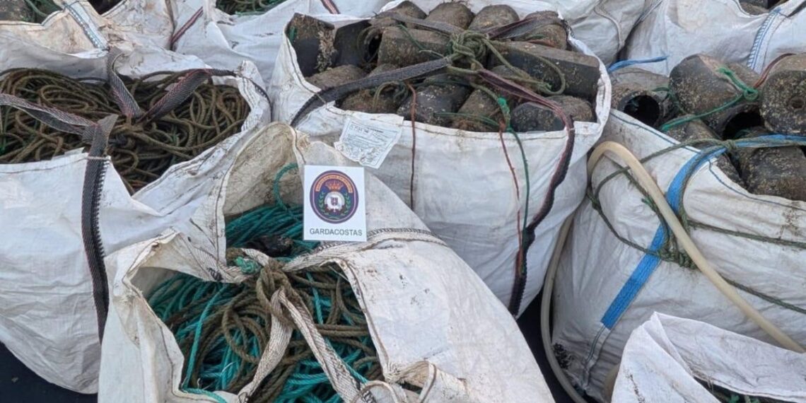 Decomisan en una semana casi 200 kilos de pulpo en A Guarda