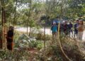 Proteger la joya del Monte Aloia, así es la lucha contra la acacia negra en el sur de Galicia
