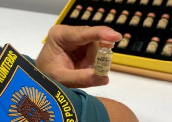 Intervienen a un viajero en Peinador que transportaba bilis de oso liofilizada