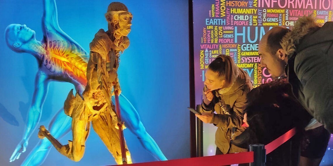 Llega a Vigo 'Bodies Evolution', la increíble exposición del cuerpo humano "más vista del mundo"