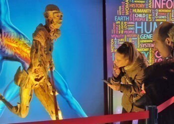 Llega a Vigo 'Bodies Evolution', la increíble exposición del cuerpo humano "más vista del mundo"