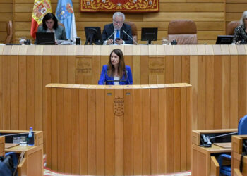 La conselleira do Medio Rural, María José Gómez, en el pleno