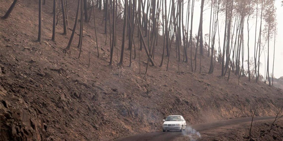 Extinguido el incendio de O Bolo tras quemar 273 hectáreas y declarado uno en la Serra do Xurés