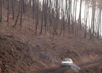 Extinguido el incendio de O Bolo tras quemar 273 hectáreas y declarado uno en la Serra do Xurés