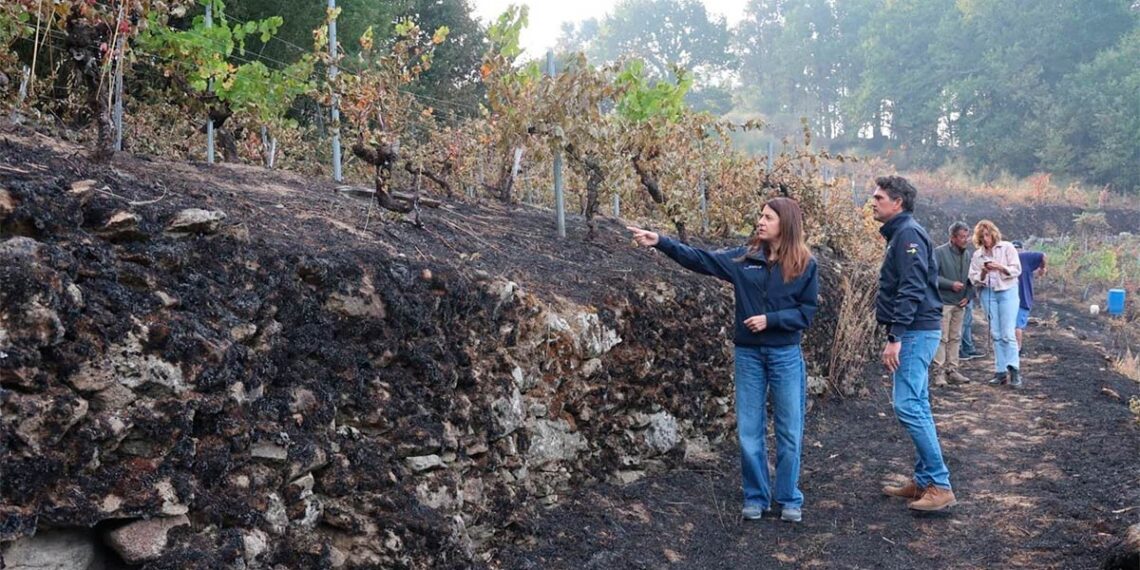 El incendio forestal de Pantón tiene el punto "más conflictivo" en la zona del cañón del Sil