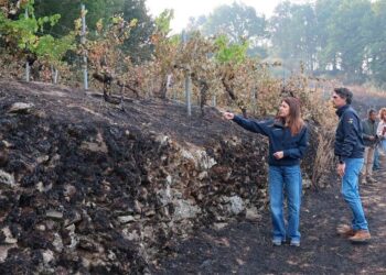 El incendio forestal de Pantón tiene el punto "más conflictivo" en la zona del cañón del Sil