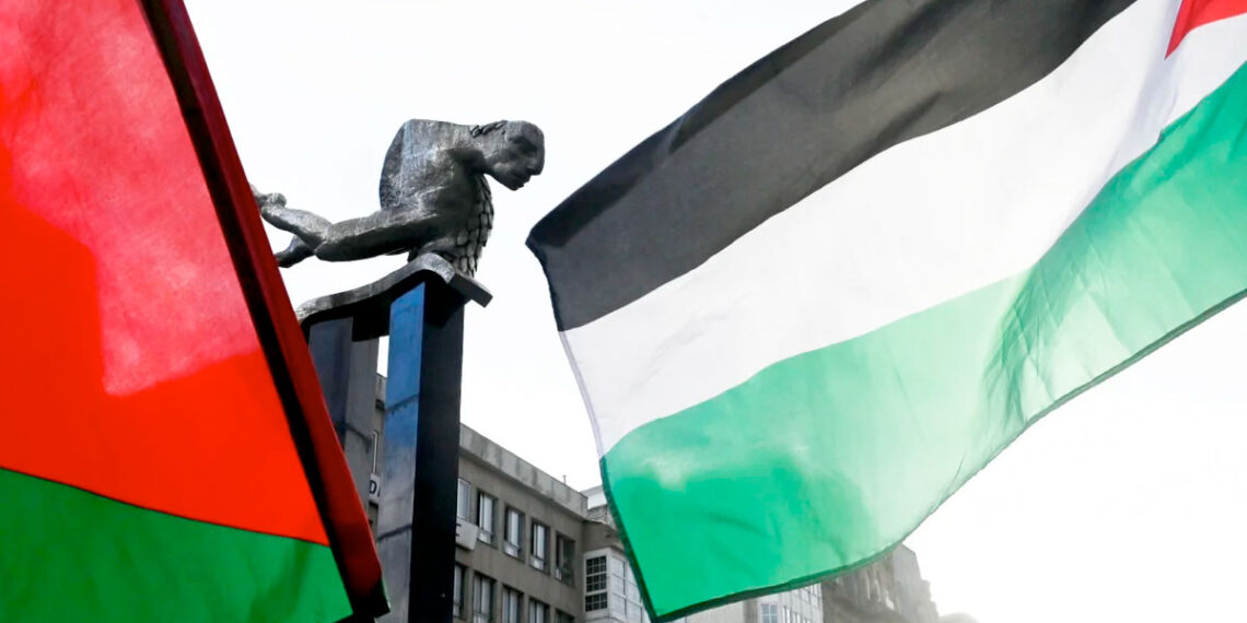 Banderas de Palestina en Vigo // MIGUEL NÚÑEZ