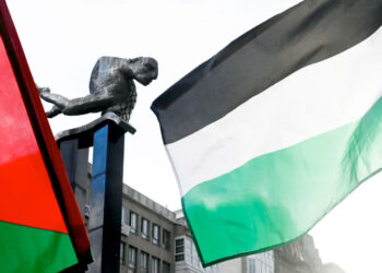 Banderas de Palestina en Vigo // MIGUEL NÚÑEZ