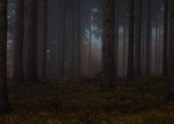 Una andaina nocturna ofrece una noche de terror por el monte en Mos con sustos y pruebas