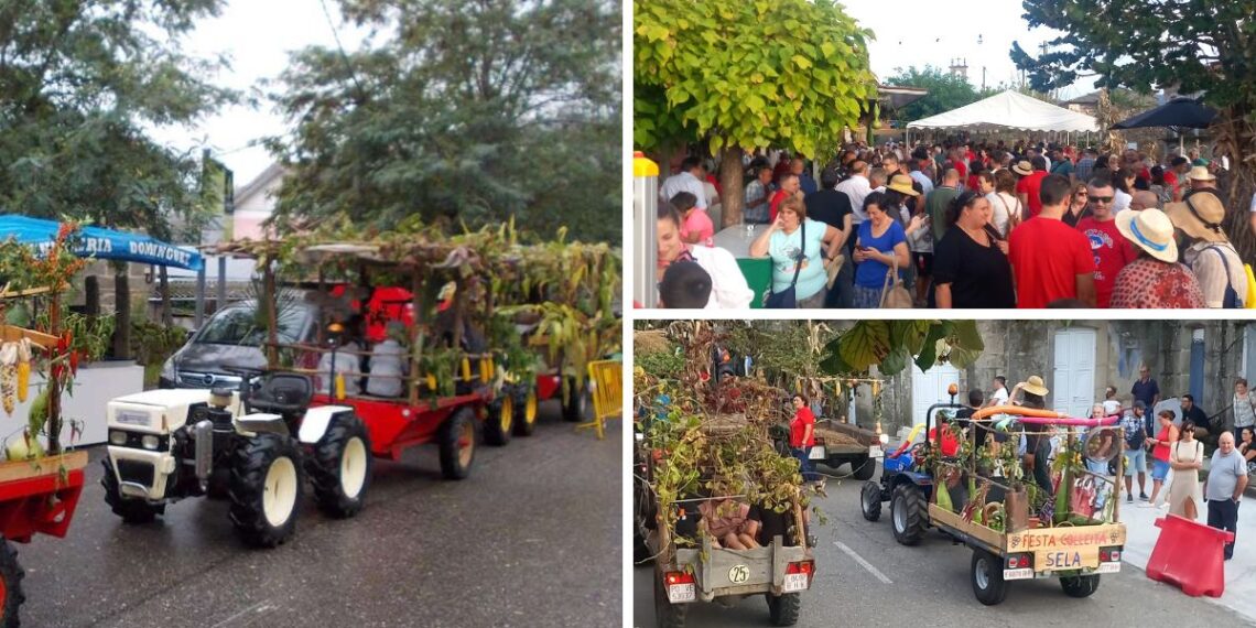 Gastronomía, música y desfile de tractores en Arbo en la tradicional Festa da Colleita de Sela
