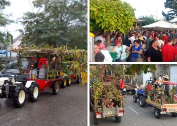 Gastronomía, música y desfile de tractores en Arbo en la tradicional Festa da Colleita de Sela