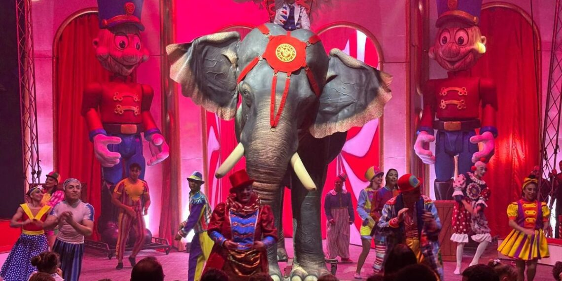 Del área de Vigo al mundo entero, así son los sorprendentes animales robot diseñados para espectáculo