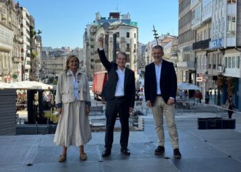 Crece el "bosque" de la Navidad de Vigo con más elementos y un árbol de hasta 45 metros