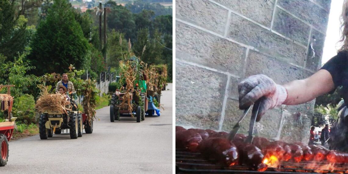 Desfile de tractores, degustaciones gratis, velada de boxeo y más para redescubrir Arbo este otoño