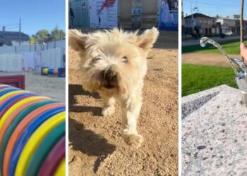 Inaugurado el primer gran parque canino en pleno corazón de O Porriño