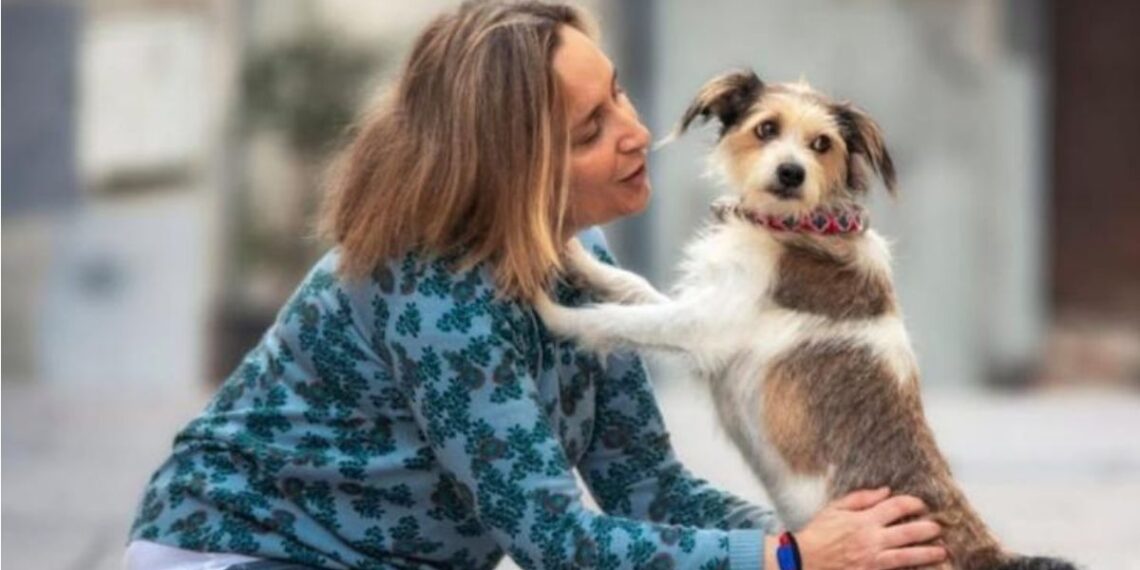 El comercio local de Vigo se despide de una de las tiendas más queridas por las familias "peludas"