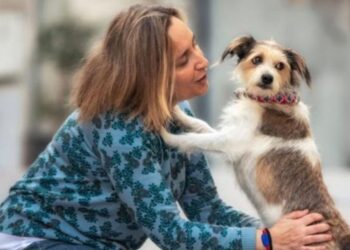 El comercio local de Vigo se despide de una de las tiendas más queridas por las familias "peludas"