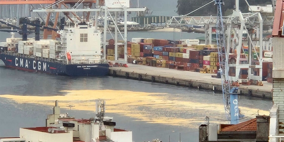 Galicia activa el nivel de emergencia 1 en la ría de Vigo por el vertido de aceite de palma