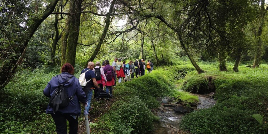 Kayak, orientaventura, paseos nocturnos y más para descubrir el entorno natural de Redondela