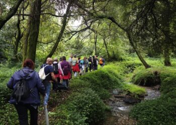 Kayak, orientaventura, paseos nocturnos y más para descubrir el entorno natural de Redondela