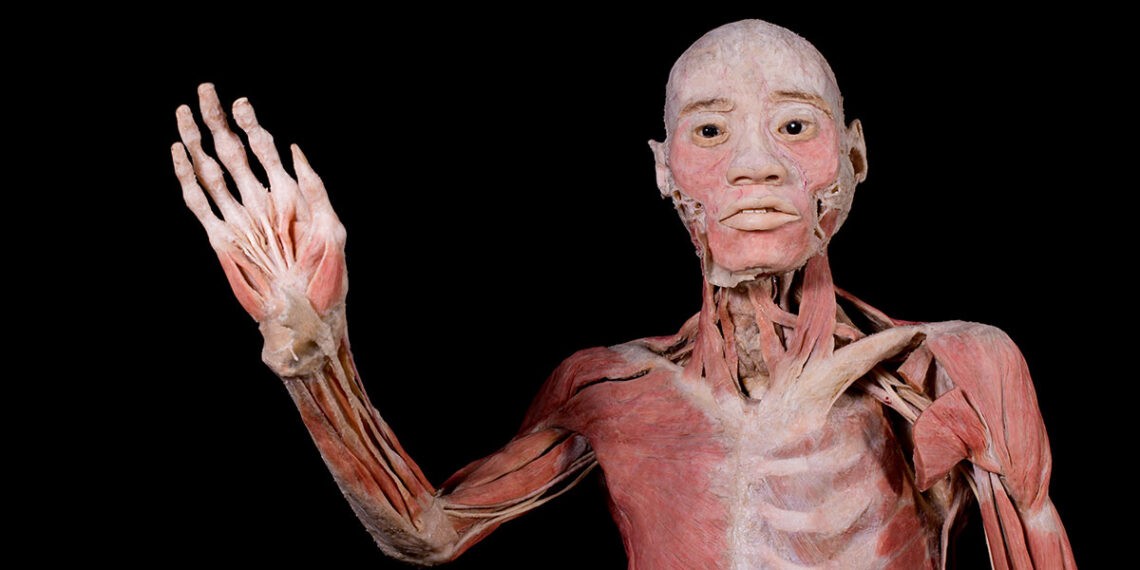 ¿Qué hacer en Vigo y área? Aluvión de planazos para tener un finde del 12 de octubre inolvidable