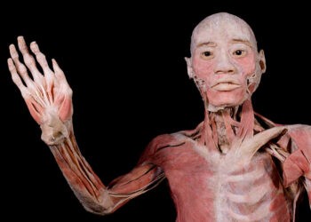 ¿Qué hacer en Vigo y área? Aluvión de planazos para tener un finde del 12 de octubre inolvidable