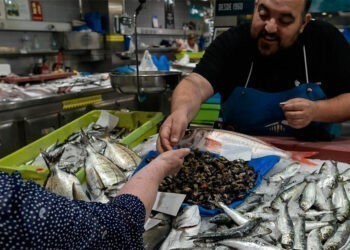 Fin al bono peixe en Galicia, que tuvo un impacto en ventas de casi 11 millones de euros