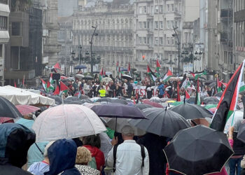 Miles de personas bajo la lluvia en Vigo insisten, "la causa de Palestina es la causa de la humanidad"
