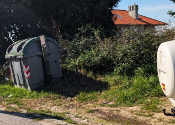 Un análisis de ADN permite dar con la dueña de gatos tirados en un contenedor de Cangas