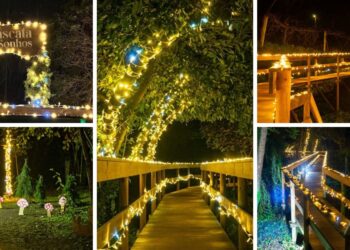 El paseo más mágico de la Navidad de Portugal, la Cascata dos Sonhos, ya tiene fechas y horarios