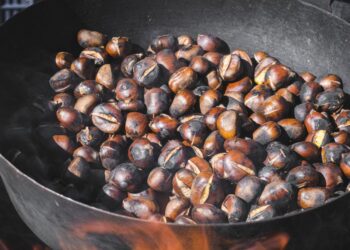 Castañas gratis y pan con chorizo a "precios populares" en un magosto de Vigo