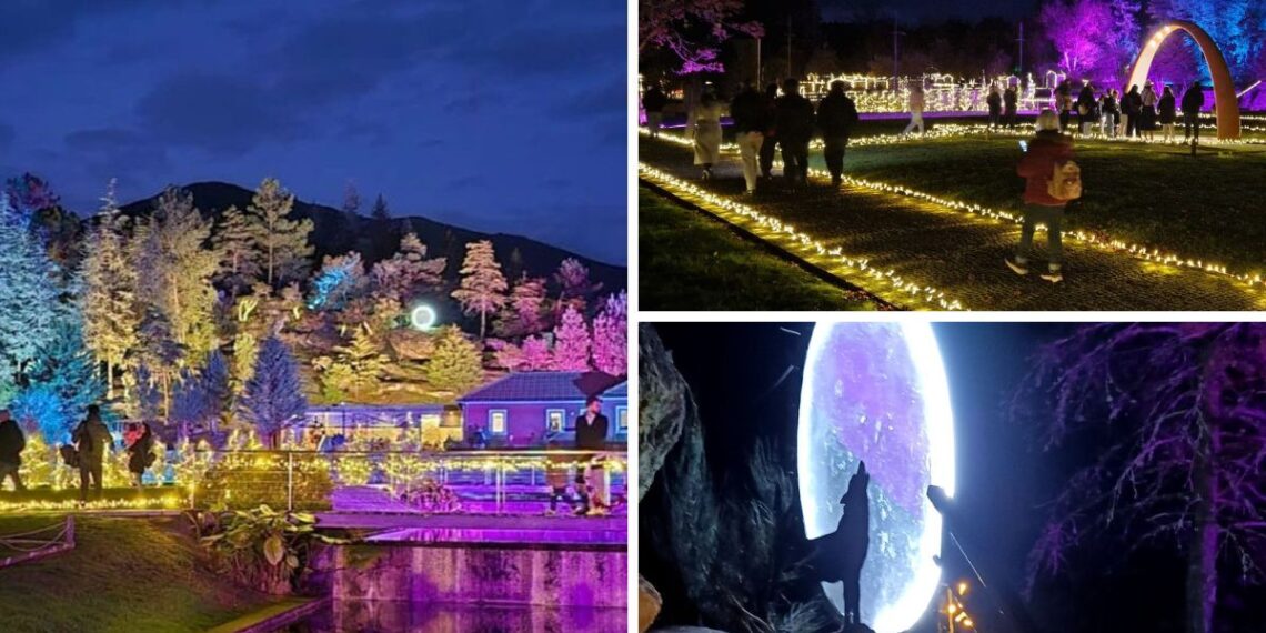 El bosque más mágico de la Navidad del norte de Portugal, la Floresta Encantada, desvela sus fechas