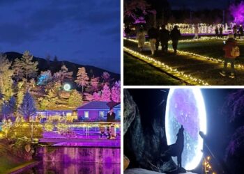 El bosque más mágico de la Navidad del norte de Portugal, la Floresta Encantada, desvela sus fechas