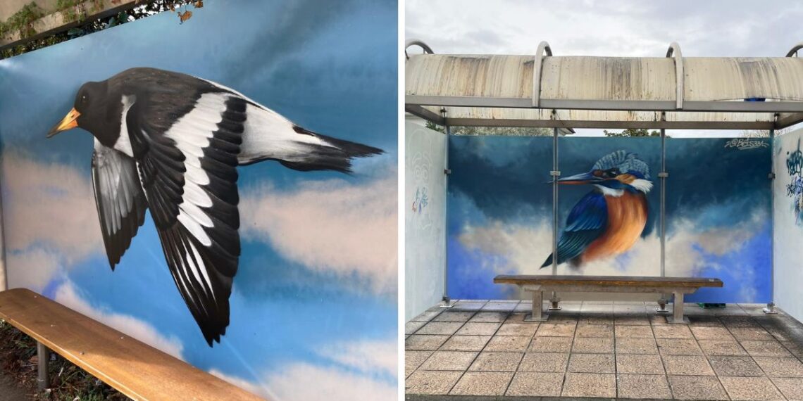 Nigrán convierte marquesinas en obras de arte y suma una nueva ruta ornitológica