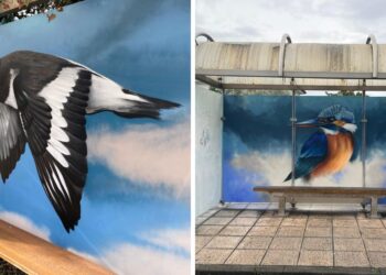 Nigrán convierte marquesinas en obras de arte y suma una nueva ruta ornitológica