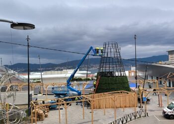 El gran parque de la Navidad de Vialia Vigo coge forma con un árbol de 15 metros y tobogán