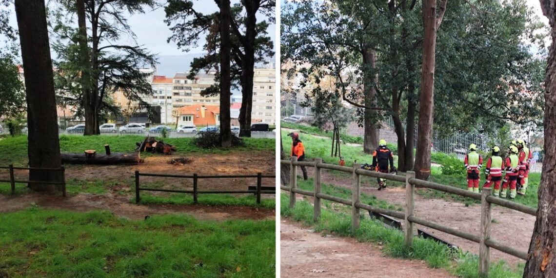 Denuncian que el Concello use a los bomberos de Vigo para "abrir vistas" en O Castro