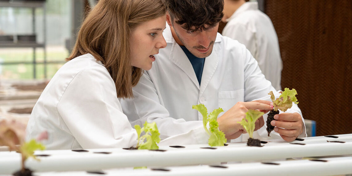 La UVigo se alza como la mejor universidad de España y la 17 del mundo en una de sus titulaciones