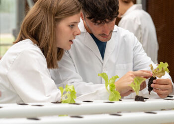 La UVigo se alza como la mejor universidad de España y la 17 del mundo en una de sus titulaciones