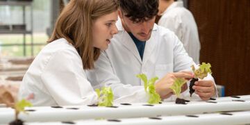 La UVigo se alza como la mejor universidad de España y la 17 del mundo en una de sus titulaciones