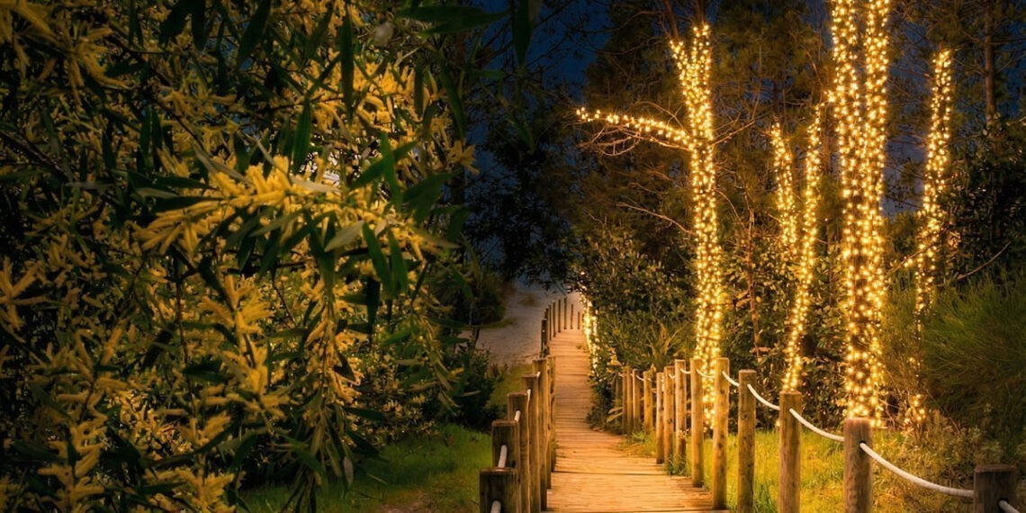 Un municipio del norte de Portugal anuncia una nueva "Floresta Encantada" al borde de la playa