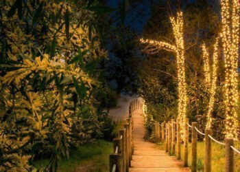Un municipio del norte de Portugal anuncia una nueva "Floresta Encantada" al borde de la playa