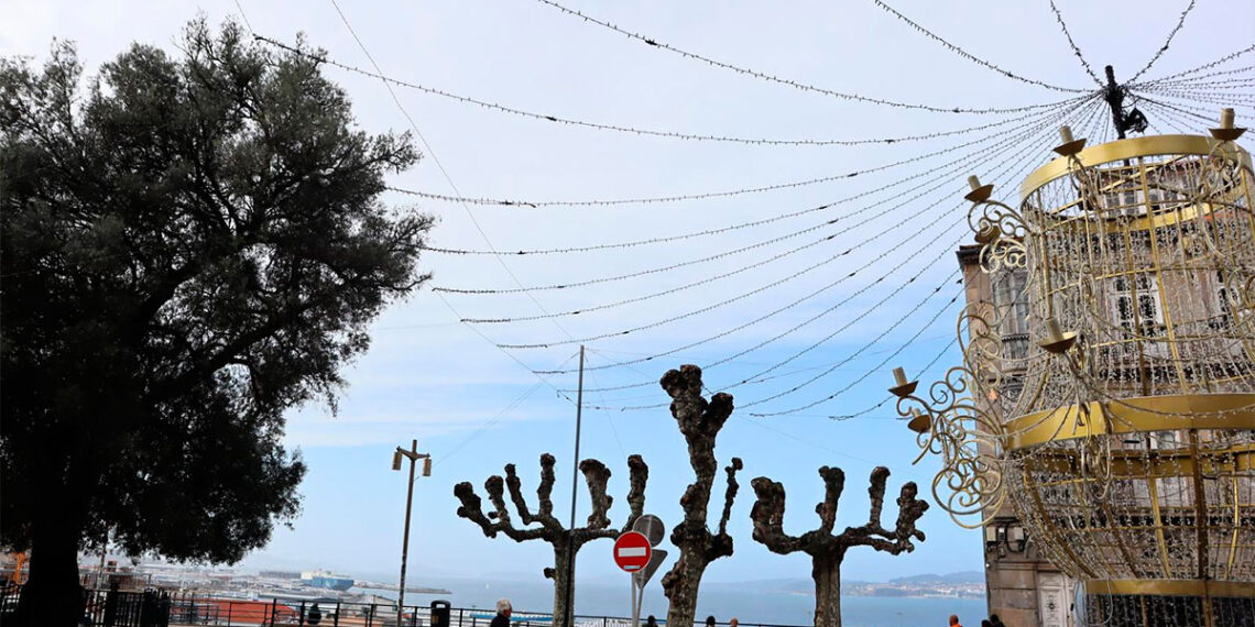 Denuncian "un atentado ambiental" en el Olivo de Vigo por los adornos de Navidad de Paseo de Alfonso