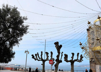 Denuncian "un atentado ambiental" en el Olivo de Vigo por los adornos de Navidad de Paseo de Alfonso