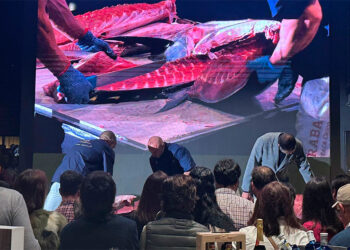 Martín Códax elige Vigo para un "encuentro único" para avanzar en su crecimiento en la provincia